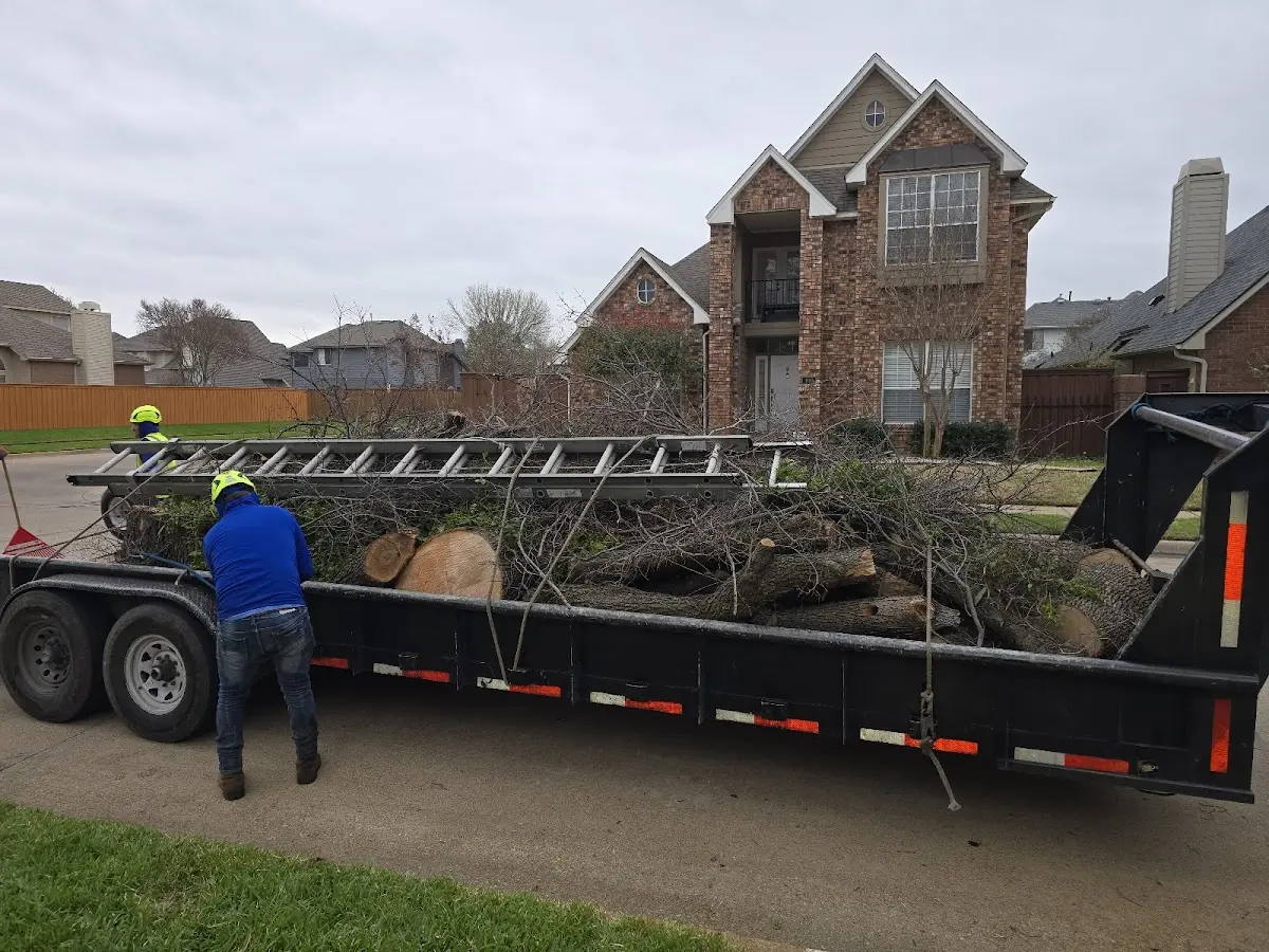 Expert Crown Reduction with proper safety equipment in Yorktown Heights